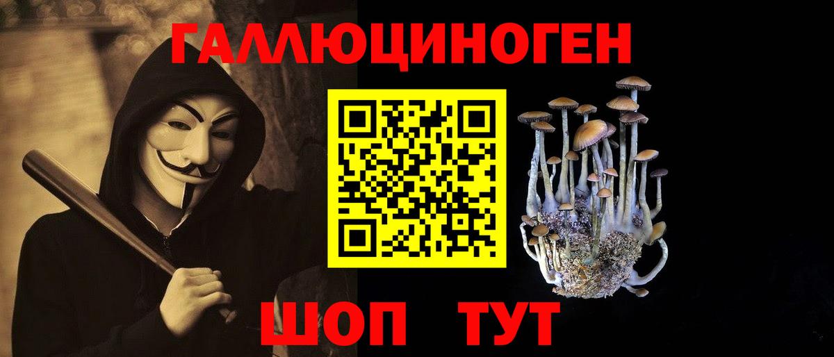 Галлюциногенные грибы прущие грибы  Вход с VPN  Всеволожск 